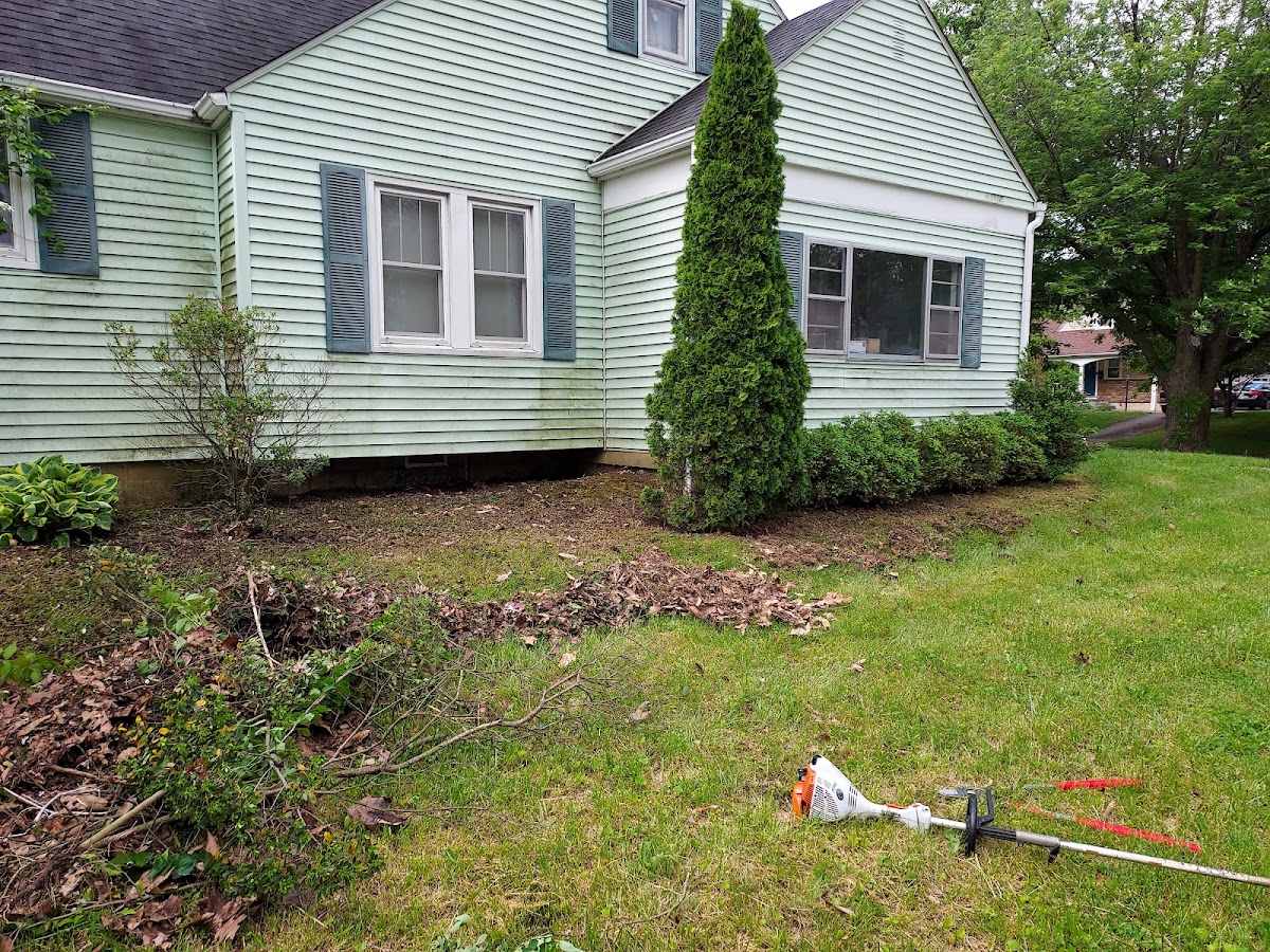 Landscape bed cleared and pruned along a home's foundation, trimmer visible in the grass